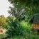 Pafuri Tented Camp - 185041
