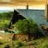 Sediba Private Game Lodge - 185077