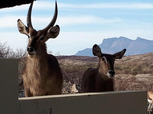 Uitkyk Guest Farm - 185223