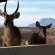 Uitkyk Guest Farm - 185223