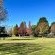 Grey Goose Game Lodge - 185529