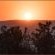 Grey Goose Game Lodge - 185533