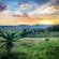 Grey Goose Game Lodge - 185544