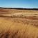 Grey Goose Game Lodge - 185556