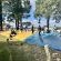 Grey Goose Game Lodge - 185557