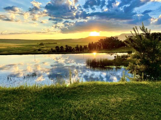 Grey Goose Game Lodge - 185559