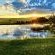 Grey Goose Game Lodge - 185559