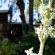 Grey Goose Game Lodge - 185560