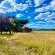 Grey Goose Game Lodge - 185565