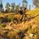 Grey Goose Game Lodge - 185569