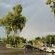 Grey Goose Game Lodge - 185575