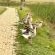 Grey Goose Game Lodge - 185577