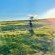 Grey Goose Game Lodge - 185579