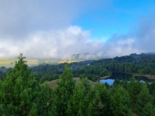 Ukutula Resort - 185717