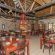 Molopo Kalahari Lodge - 185803