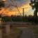The Hatchery - 186065