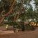 The Hatchery - 186084