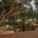 The Hatchery - 186084