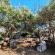 The Hatchery - 186098
