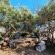 The Hatchery - 186098