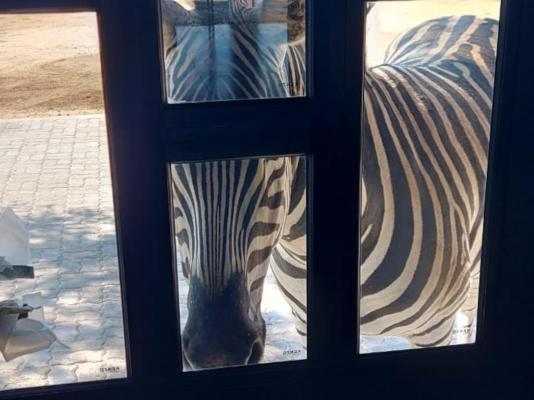 Thandolwami Bushlodge - 186103