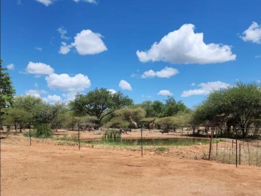 Thandolwami Bushlodge - 186108