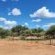 Thandolwami Bushlodge - 186108