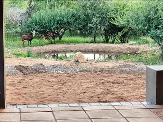 Thandolwami Bushlodge - 186125