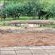 Thandolwami Bushlodge - 186125