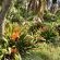 Majorca Self-Catering Apartments - 186233