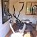 Rudys Guesthouse - 186403