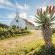 Sandpiper Cottages - 186464
