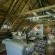 Sandpiper Cottages - 186467