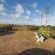 Sandpiper Cottages - 186516