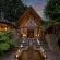 Tsala Treetop Lodge