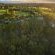Tsala Treetop Lodge 
