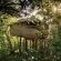 Tsala Treetop Lodge - Suites