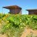 Kallabaskop Lodge - 188048