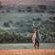 Umbono Private Game Lodge - 188223