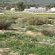 Clanwilliam Accommodation - 188252