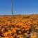 Clanwilliam Accommodation - 188254