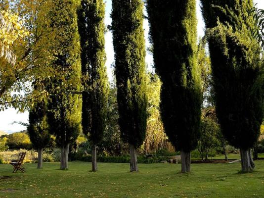 Letskraal Farm Accommodation - 188796