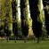 Letskraal Farm Accommodation - 188796