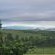 KatiKati Eco Lodge - 189848