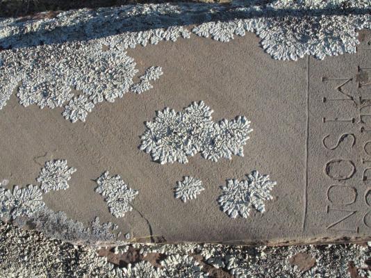 Nieu-Bethesda - 190144