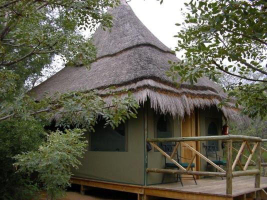 Entabeni Wildside Tented Camp - 190205