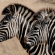 Bushveld Bliss - 190343