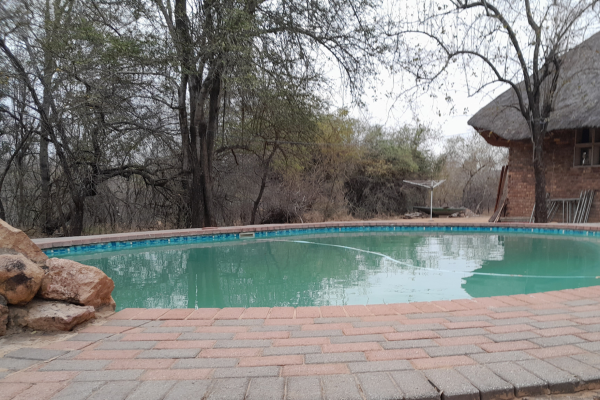 Bushveld Bliss - 190352