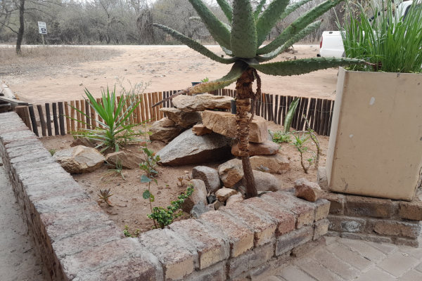 Bushveld Bliss - 190354