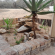 Bushveld Bliss - 190354